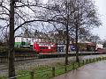2014-0205-1420_CollilersWood _8C